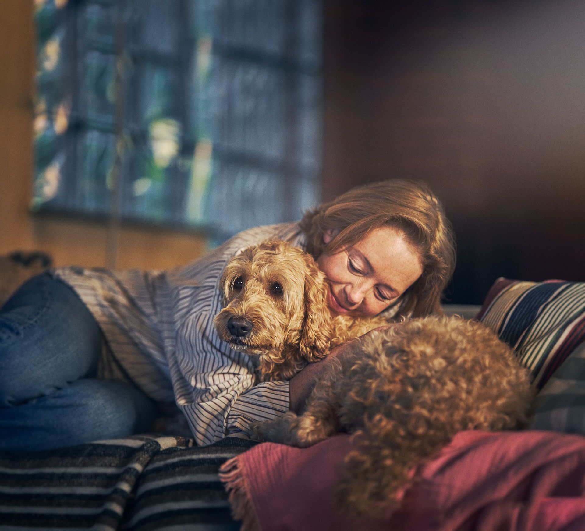 Hund ligger på sofaen med eier