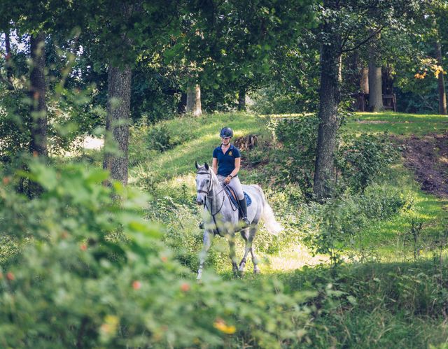 Hest og rytter på ridetur i skogen