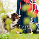 Hund og eier i bunad på 17.mai