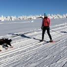 Hund og eier på skitur