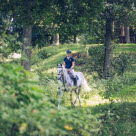 Hvit hest på tur i skogen