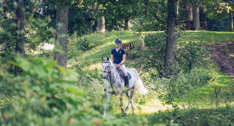 Hvit hest på tur i skogen