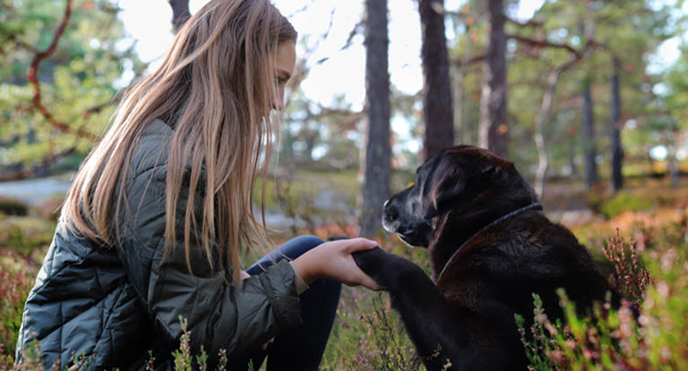 Dame og hund i skogen