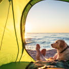 Hund og eier som ligger i et grønt telt på stranden.