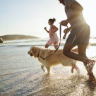 Hund og to mennesker som løper i vannkanten på stranden.