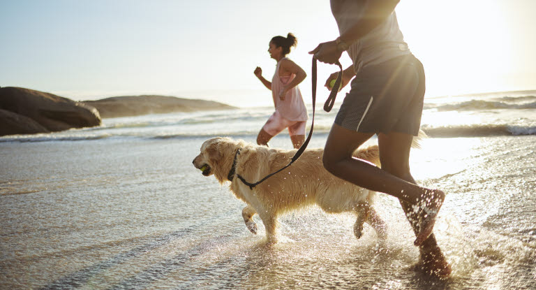 Hund og to mennesker som løper i vannkanten på stranden.